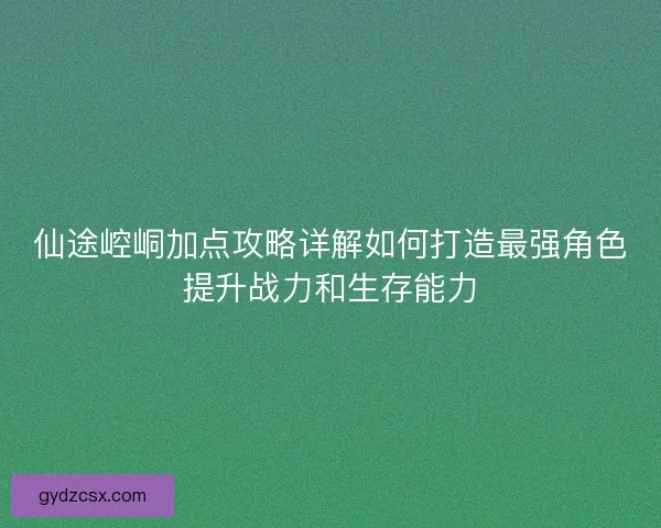 仙途崆峒加点攻略详解如何打造最强角色提升战力和生存能力