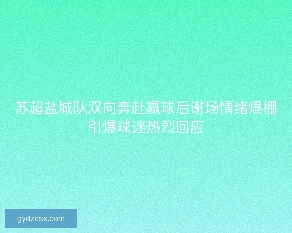 苏超盐城队双向奔赴赢球后谢场情绪爆棚引爆球迷热烈回应