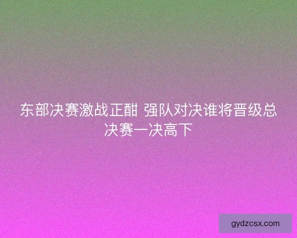 东部决赛激战正酣 强队对决谁将晋级总决赛一决高下