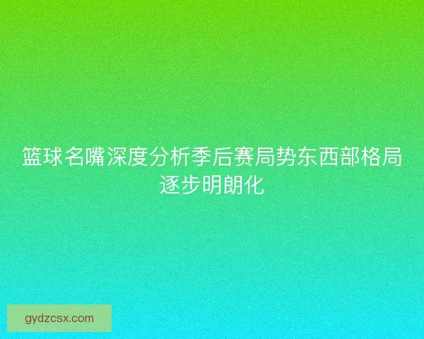 篮球名嘴深度分析季后赛局势东西部格局逐步明朗化