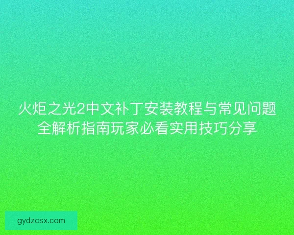 火炬之光2中文补丁安装教程与常见问题全解析指南玩家必看实用技巧分享